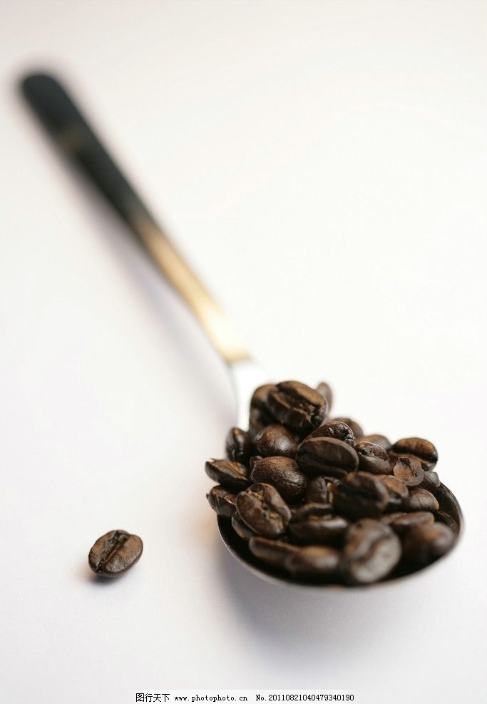 咖啡豆 从果实到杯中香醇的奇妙旅程