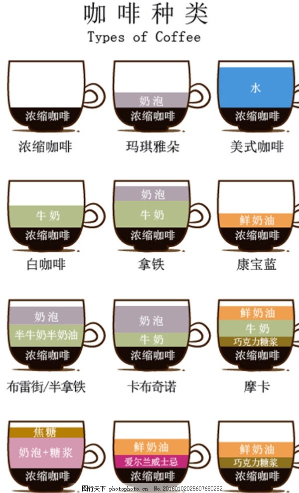 矢量咖啡成分比例种类图解